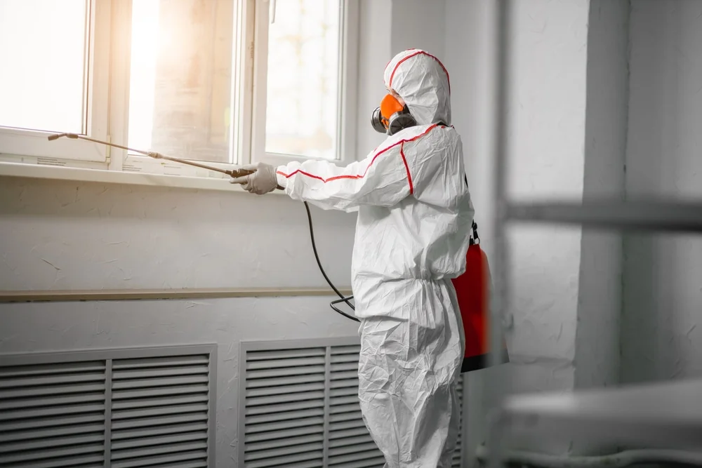 Professional mold remediation services in Larsen, WI
